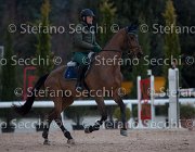 Cantlena FZ Tosc Tour2013- S5 1802 : Arezzo, Cantlena FZ, Cavalli d'Italia, Toscana Tour 2013, foto di Stefano Secchi ©
